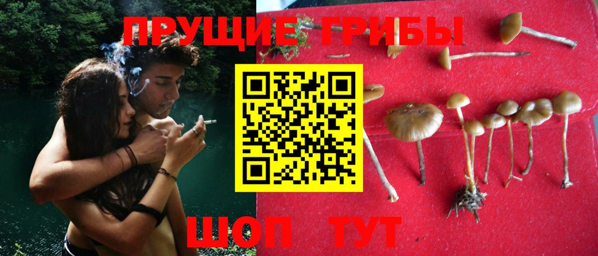 Галлюциногенные грибы GOLDEN TEACHER Горячий Ключ